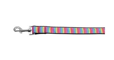 Dog & Cat Nylon Collar or Leash, "Zigzaggy Rainbow"