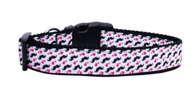Dog & Cat Nylon Collar or Leash, "Moustache Love"