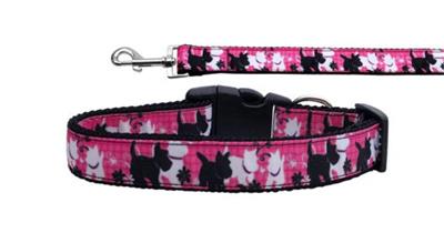 Dog & Cat Nylon Collar or Leash, "Plaid Pups"