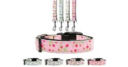 Dog & Cat Nylon Collar or Leash, "Roses"