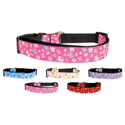 Dog & Cat Nylon Collar or Leash, "Butterfly"