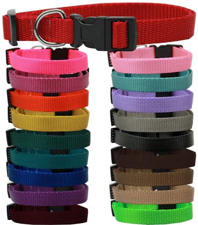 Plain Nylon Collars and Leashes