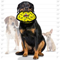Extra Product Image