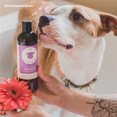 Kin+Kid Coat Oatmeal Fig+Cedar 12oz. Kin Organics Shampoo