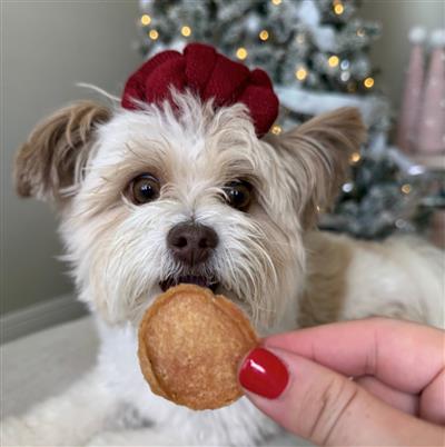 Holiday Dog Treats