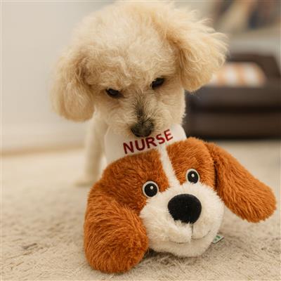 Ruffian Hero Nurse Dog Toy