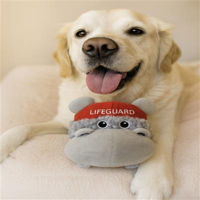 Ruffian Hero Lifeguard