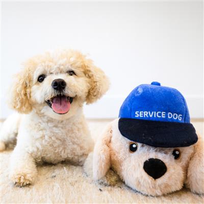 Ruffian Hero Service Dog