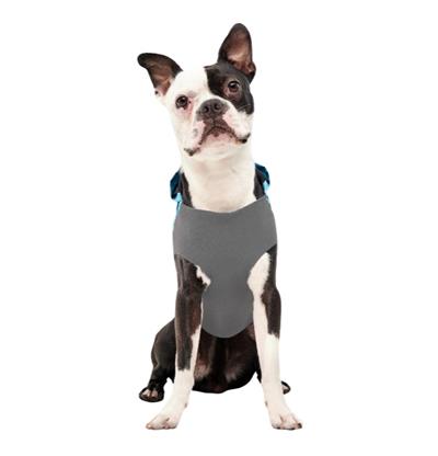 Goo-Eez Reflective Hooded Raincoat Baby Blue/Grey XSmall