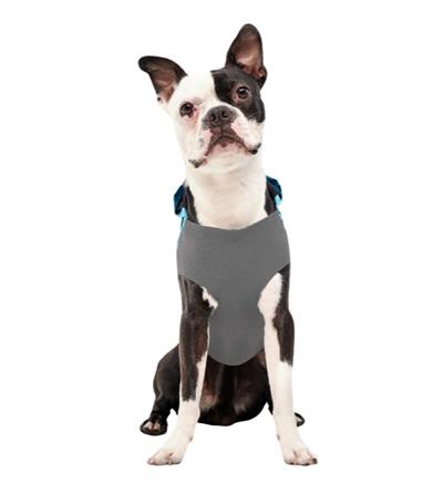 Goo-Eez Reflective Hooded Raincoat Baby Blue/Grey XXSmall