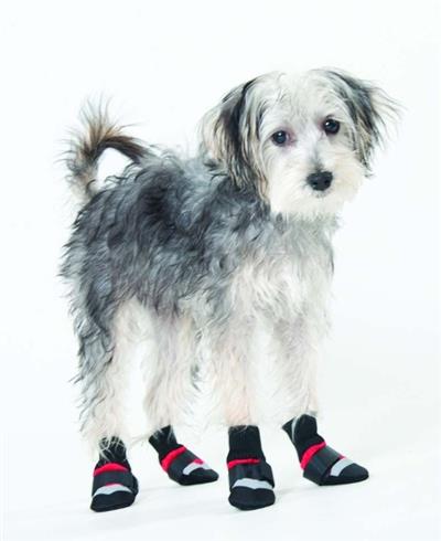 Fashion Pet Extreme All Weather Boots Red/Black 1ea/XXS
