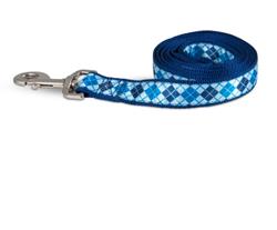 Aspen Ribbon Overlay Dog Leash Blue 1ea/1 In X 6 ft, One Size