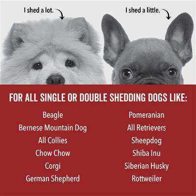 DOGDAYS De-Shedding Shampoo — Deep Moisturizing Deshedding Formula for Dogs