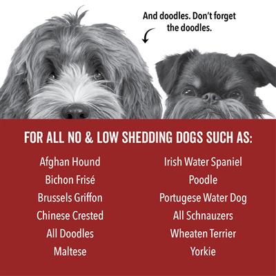 DOGDAYS Hydrating Dog Shampoo for Curly & Wavy Coats — Tear-Free, Vegan, and Hypoallergenic