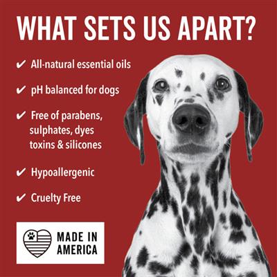 DOGDAYS Moisturizing Dog Conditioner — Hypoallergenic, Detangling, and Soothing for All Coat Types