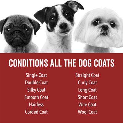 DOGDAYS Moisturizing Dog Conditioner — Hypoallergenic, Detangling, and Soothing for All Coat Types