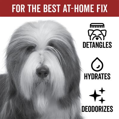 DOGDAYS Leave-In Detangling Spray — Hydrating, Frizz-Control Formula for All Coat Types