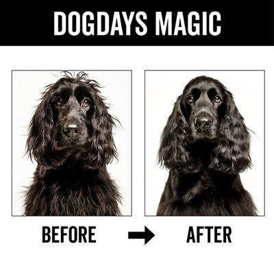 DOGDAYS Leave-In Detangling Spray — Hydrating, Frizz-Control Formula for All Coat Types