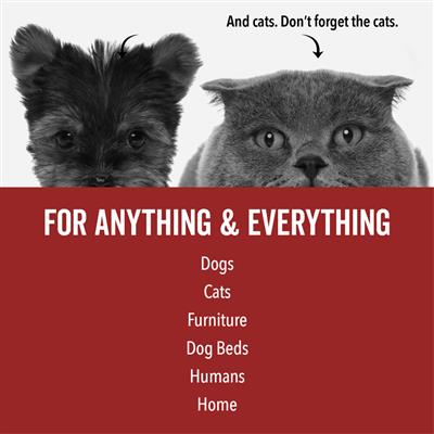 DOGDAYS Dog Deodorizing Spray — Natural, Hypoallergenic Freshening Mist