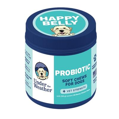 Probiotic Chews for Dogs