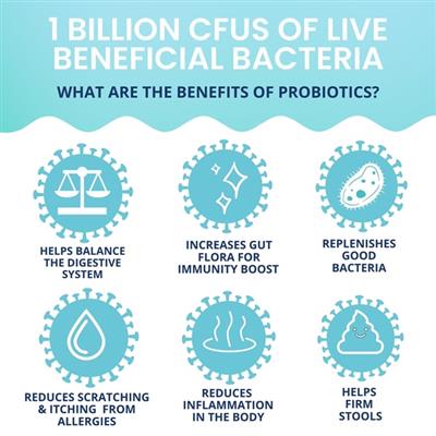 Probiotic Chews for Dogs