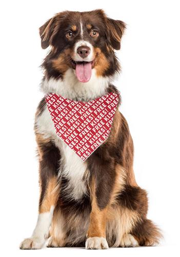 Valentine Bandana | Valentines Day Dog Bandana | FREE KISSES