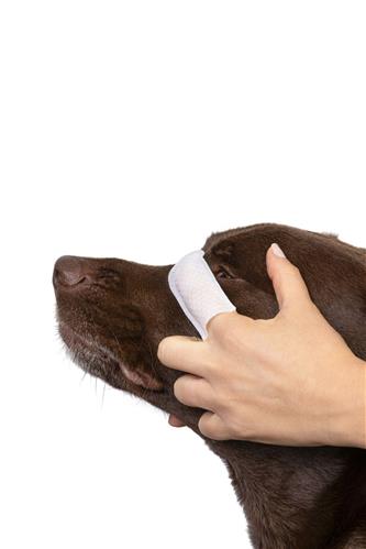 Eye Cleansing Wipes - 60Ct - Unscented