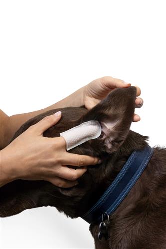 Ear Cleansing Wipes - 60Ct - Unscented