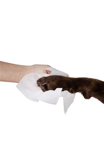 Cleansing Wipes - 100Ct - Tangy Tangerine