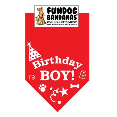Wholesale Pack - Birthday Boy Bandana - Assorted Boy Colors