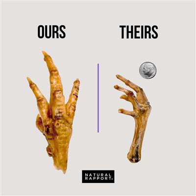 The Only Dehydrated Chicken Feet Dogs Need