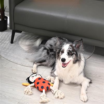 Puppy Garden – Ladybug