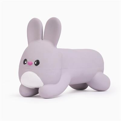 Hoppin' Easter – Hoppy Bunny