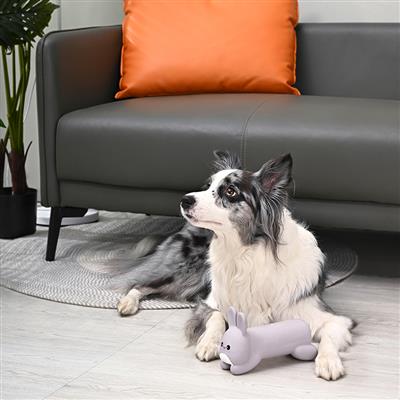 Hoppin' Easter – Hoppy Bunny