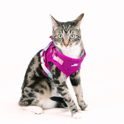 Joana Cat Harness & Leash Set