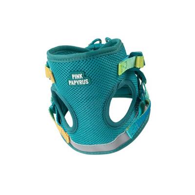 Joey Cat Harness & Leash Set
