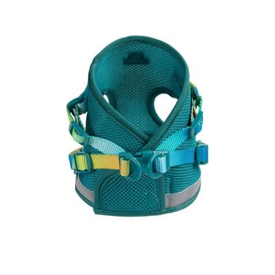 Joey Cat Harness & Leash Set