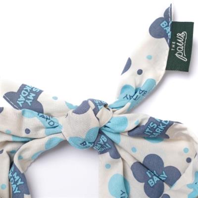 Let's Pawty in Blue Dog Bandana