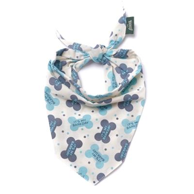 Let's Pawty in Blue Dog Bandana