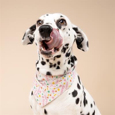 Sparkle Pawty Pink Dog Bandana