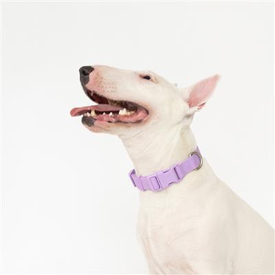 Waterproof Dog Collar With Safe-release Buckle Mixed Case of 5
