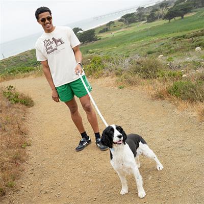 Premium Waterproof 5ft Dog Leash Mixed Pack of 5