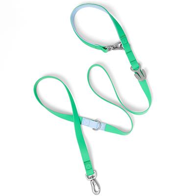 Premium Waterproof 5ft Dog Leash Pack of 4 (Choose Color)