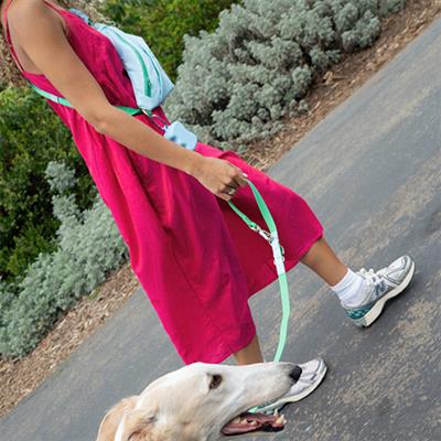 Waterproof City Dog Leash, Short Dog Leash Pack of 4 (Choose Color)