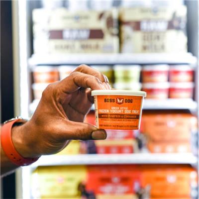 Boss Greek Style Frozen Yogurt Treats 4PK