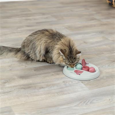 Cat Activity Hide 'N Slide