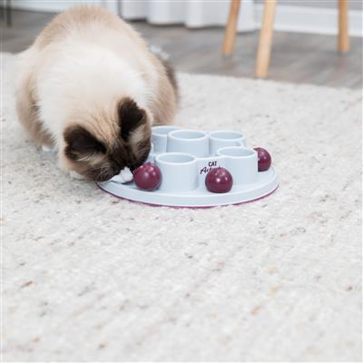 Cat Activity Pentagon