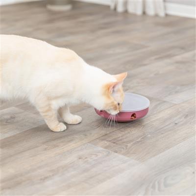 Cat Activity Rocking Maze