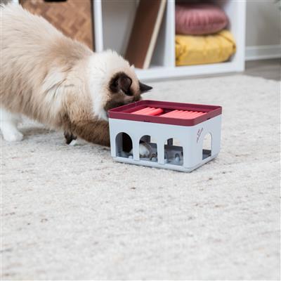 Cat Activity Rod Box
