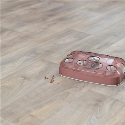 Cat Activity Soccer